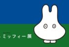 【兵庫県】中村光の世界展：2021年7月21日（水）～ 7月26日（月）